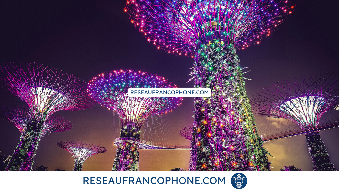 vile de Singapour pour expatriés francais