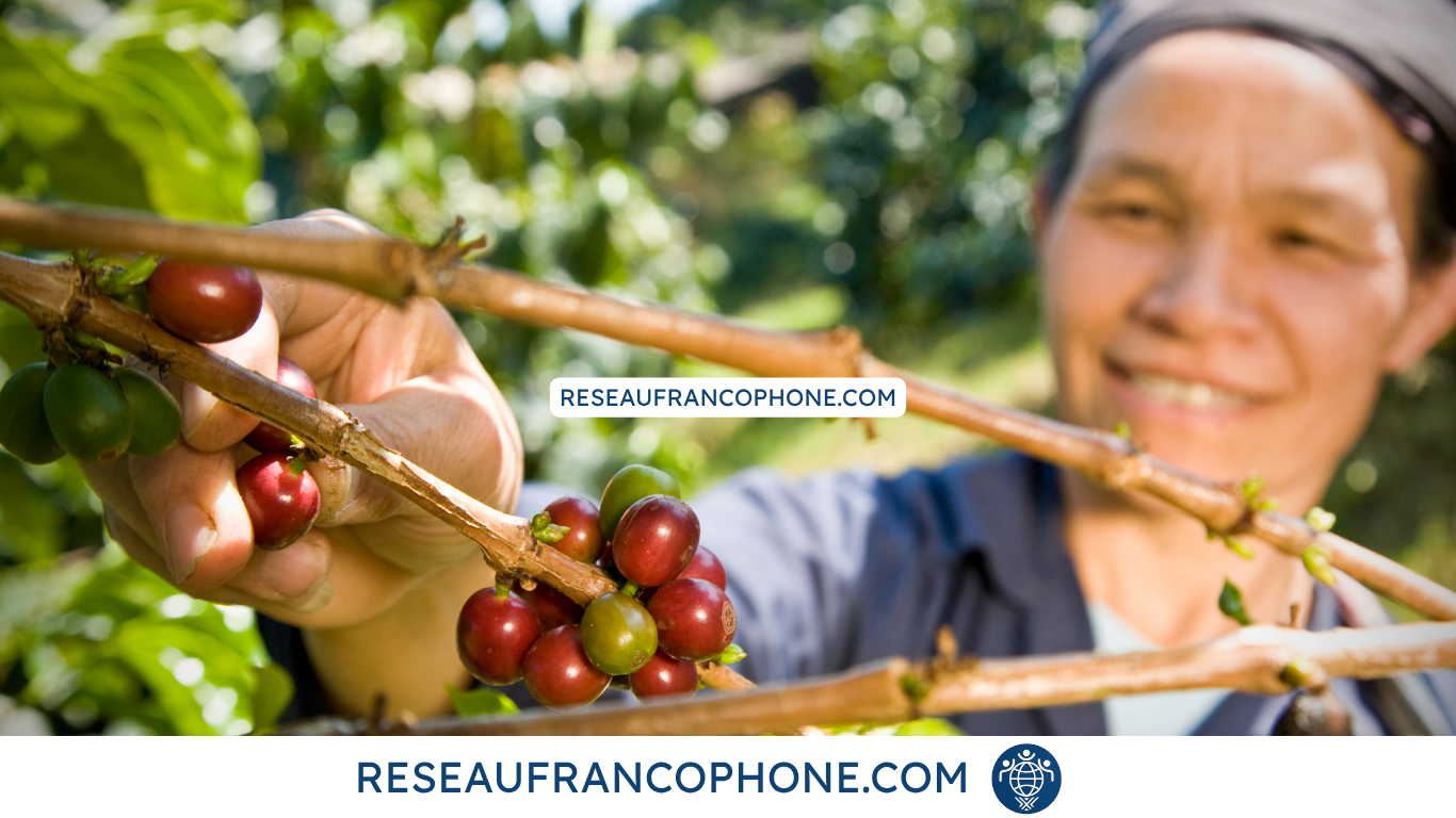 Un réseau de fabricants et de producteurs francophones