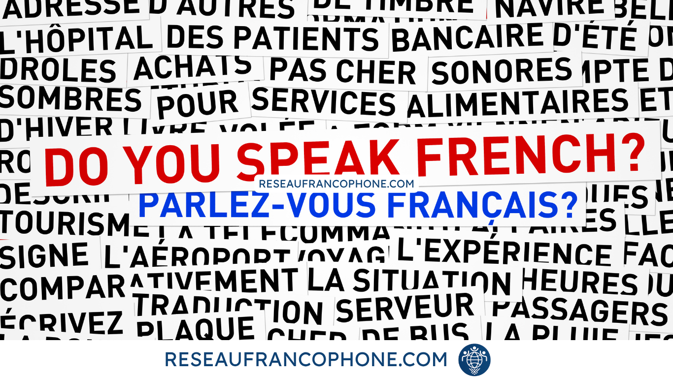 écosystème francophone international