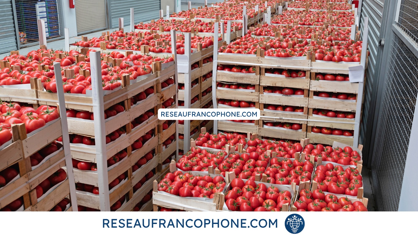 entreprise francophone , un producteur francophone, un distributeur francophone ou un entrepreneur francophone