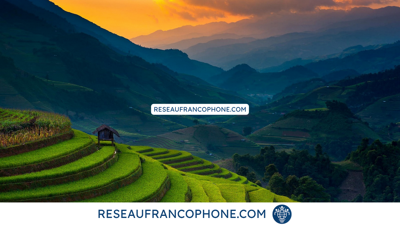fournisseur au Vietnam sourcing au vietnam et sous-traitance au vietnam (3)