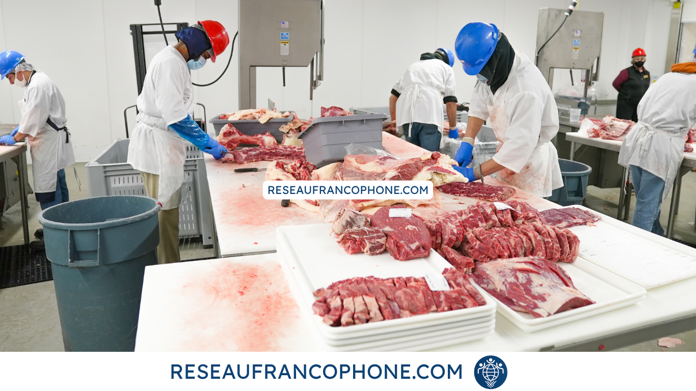 sourcing en Europe de Est Sous traitance